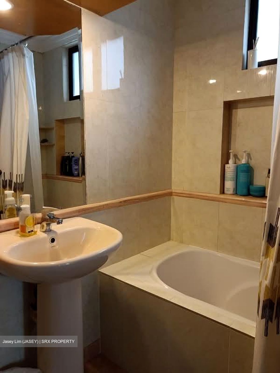 Tanglin Park (D10), Condominium #560918371